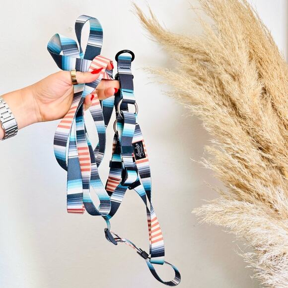Leeds Other - NEW LEEDS Jetty Blue White Orange Stripe Step Harness and 6’ Dog Leash $108 Set